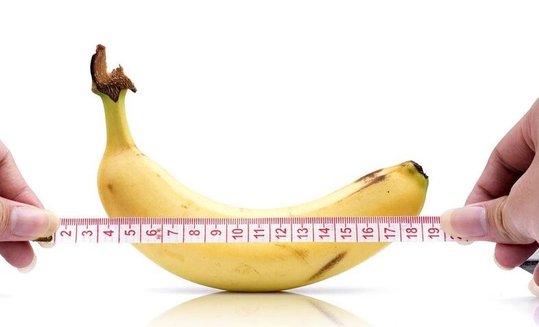L'influence de l'abstinence sur la longueur du pénis